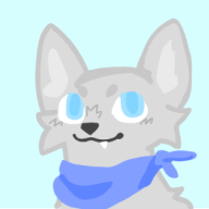 CoderFox249