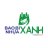 baobinhuaxanh